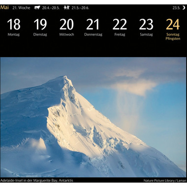 HARENBERG Postkartenkalender 2026 3310116+26 Magic Nature DE 16x17.5cm