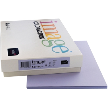 IMAGE COLORACTION Carta copie Tundra A4 266740 160g lavanda 250 fogli