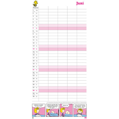 HEYE Planificateur Peanuts 2026 1589+26 1M/1P AL 5 colonnes 21x45cm