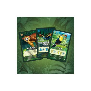 Kosmos family game Canopy