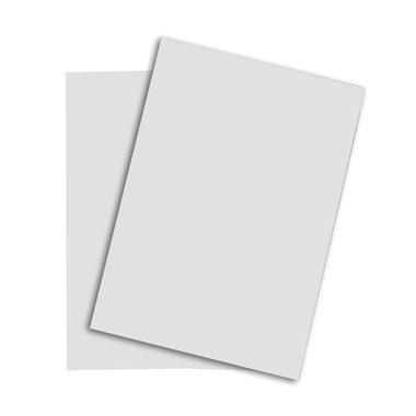 RAINBOW Papier hellgrau/93 A4 88042784 FSC, 80g 500 Blatt