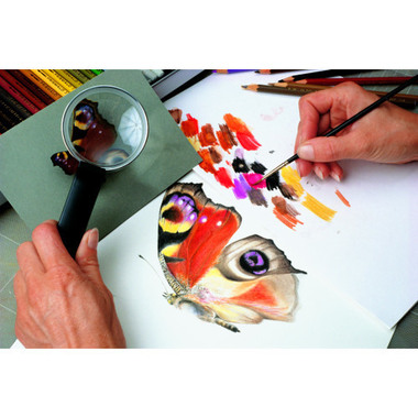 CARAN D'ACHE Crayon de couleur Prismalo 3mm 999.045 brunvandyck