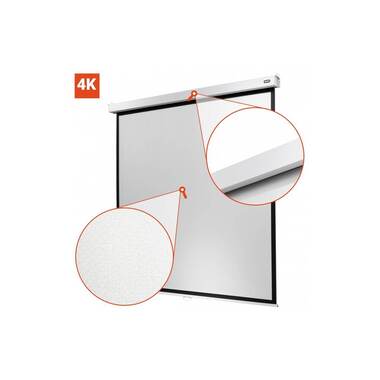 Celexon Écran mural enroulable Professional Plus 280x210 cm 4:3