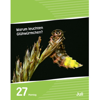 HARENBERG Calendario a strappo 2026 2104700+26 Wissen für Kids DE 12.5x16cm