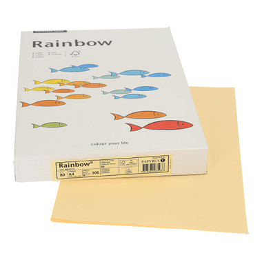 RAINBOW Papier chamois/06 A4 88042276 FSC, 80g 500 Blatt