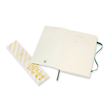 MOLESKINE Carnet Classic SC Large 853600042 myrtenvert, dots 240 feuil.