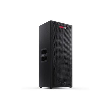 Sharp Bluetooth Speaker CPLS100 10h Akku