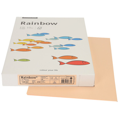 RAINBOW Papier lachs/40 A4 88043105 FSC, 120g 250 Blatt