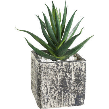EGLO Pianta artificiale 12cm 428008 verde, in vaso