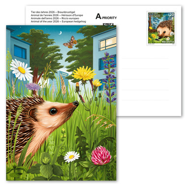 Postal card «Animal of the year 2026 – European hedgehog» Pre-franked A6 picture postcard, face value CHF 1.20, mint