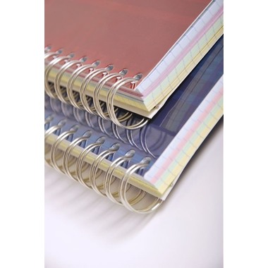 CLAIREFONTAINE Registerheft 21x28cm 8139 5mm