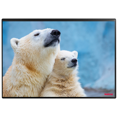 KOLMA Sous-main 35.551.20 Polar Bear 50x34cm