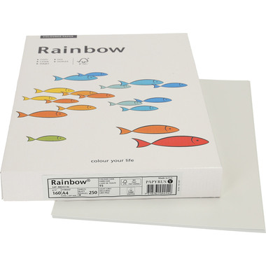 RAINBOW Papier hellgrau/93 A4 88043146 FSC, 160g 250 Blatt