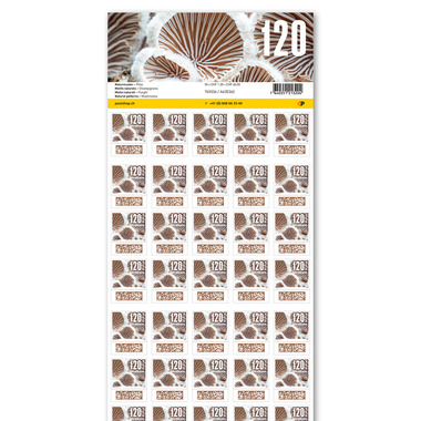 Timbres CHF 1.20 «Champignons», Feuille de 50 timbres Feuille «Motifs naturels», autocollant, non oblitéré