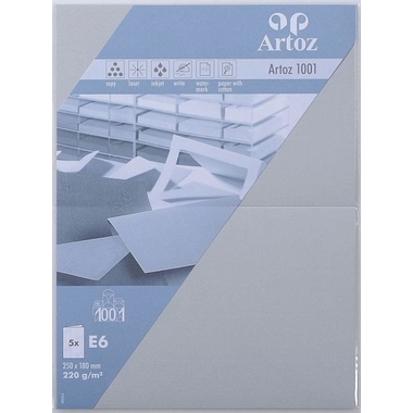ARTOZ Cartes 1001 E6 107372262 220g, gris clair 5 feuilles