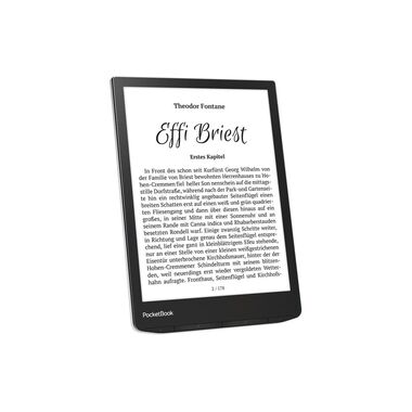 PocketBook E-Book Reader InkPad 4 Stardust Silver