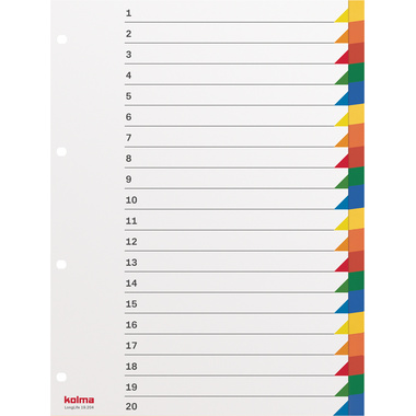 KOLMA Répertoires LongLife A4 19.204.20 multicouleur 20 div.