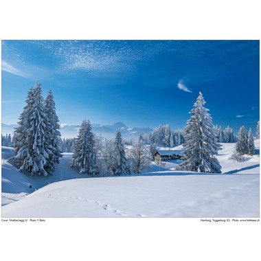 CALENDARIA Calendrier 2026 9783036205144 Swiss Mix ML 31.5x23cm