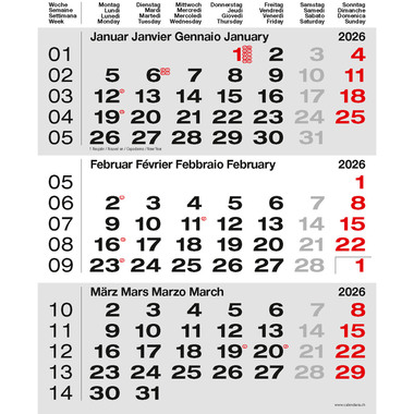 CALENDARIA 3-Monats-Wandkalender 2026 9783036205526 grau 31x40cm