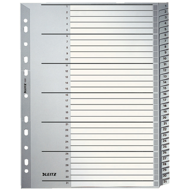 LEITZ Register PP A4+ 12810000 grau 1-31