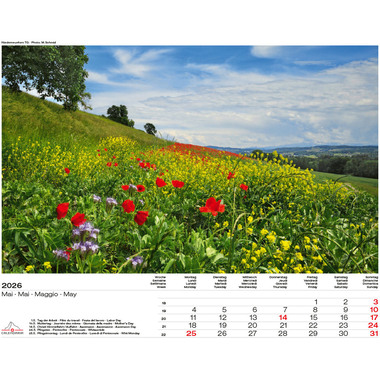 CALENDARIA Bildkalender 2026 9783036205083 Swiss Panorama ML 40x31cm