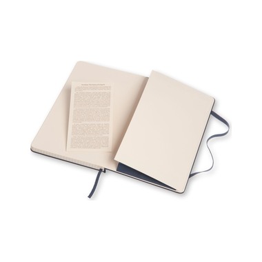 MOLESKINE Notizbuch L A5 893762 kariert Saphir