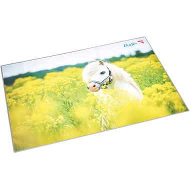 LÄUFER Sous-main 46651 Cheval sur le terrain 53x40cm