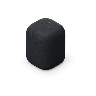 Sony Haut-parleur Bluetooth LinkBuds Noir