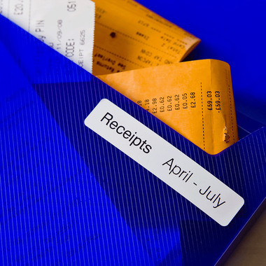 PTOUCH Etiquettes classeur 17x87mm DK-11203 QL-500/550 300 pc./rouleau