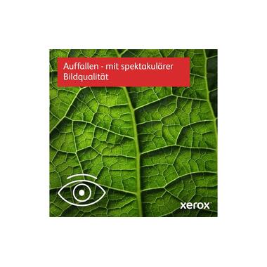 Stampante Xerox C410