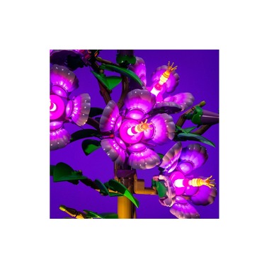 Light My Bricks LED light set for LEGO® 10372 Hibiscus