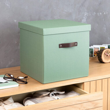 BIGSO BOX OF SWEDEN Aufbewahrungsbox Logan 9901C1649L01 mintgrün 31.5x31x31.5cm