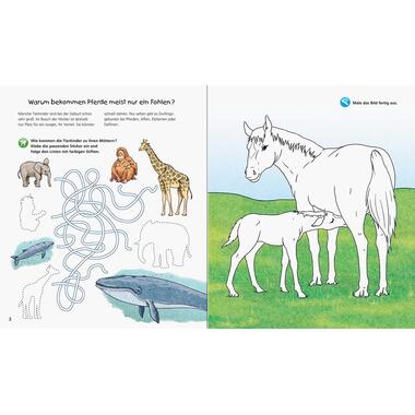 Ravensburger Livres pratiques pour enfants WWW Aktiv-Heft Tierkinder