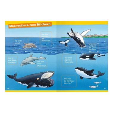 Ravensburger Livres pratiques pour enfants WWW Erstleser: Wale und Delfine