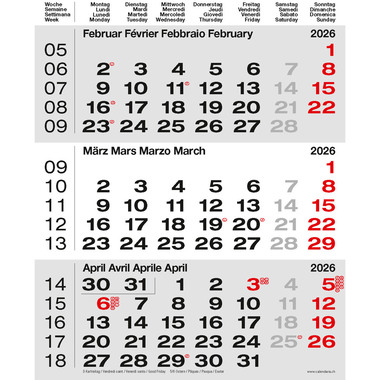 CALENDARIA 3-Monats-Wandkalender 2026 9783036205526 grau 31x40cm