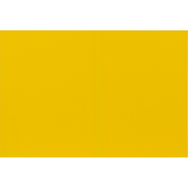 BIELLA Vertikalmappe Recycolor 25342720U 32x23,3/24,3cm, gelb 100 St.
