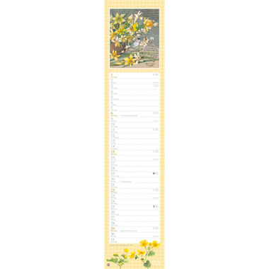 HEYE Planificateur M. Bastin 2026 1590+26 1M/1P AL 11x49cm