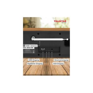 Telestar Radio Internet TOP 250 Brun