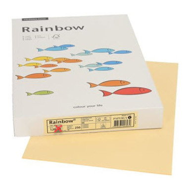 RAINBOW Carta chamois/06 A3 88042281 FSC, 120g 250 fogli