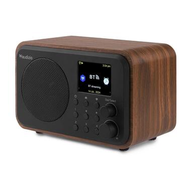 Audizio Radio DAB+ Vicence Brun