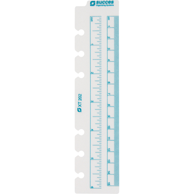 SUCCES Agenda Standard scala 84320200U trasparente