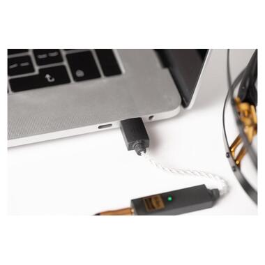 iFi Audio amplificatore per cuffie e DAC USB GO-Link