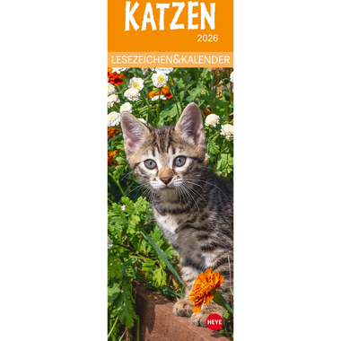 HEYE Lesezeichen-Kal. Katzen 2026 21474+26 DE 6x18cm