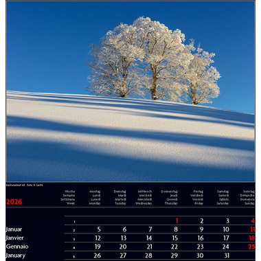 CALENDARIA Calendrier 2026 9783036205434 Switzerland ML 30x30cm