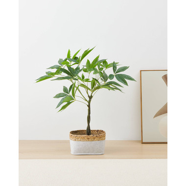 EGLO Plante artificielle 61cm 428341 vert, en pot