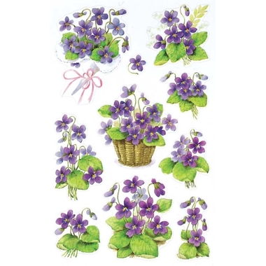 Z-DESIGN Sticker Creative 4317 Motivo 2 pezzi