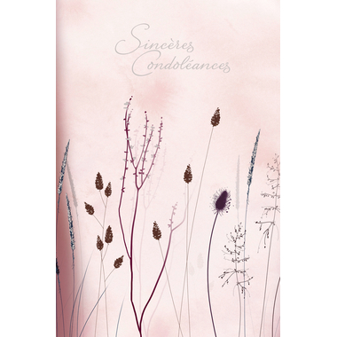 ABC Carte condoléances FR B6 53151 Graminées roses