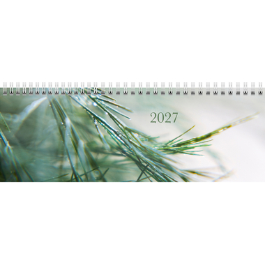 RIDOIDE Pultkalender Design Line 2027 7036311037.27 1W/2S Greeny DE 29.7x10.5cm