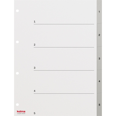 KOLMA Register LongLife A4 19.554.03 grau 1-5