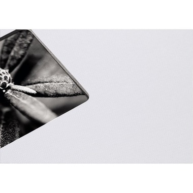 HAMA Album Fine Art 2109 360x320mm, gris 25 pages